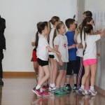 Volley Mania