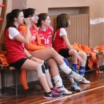 Zalet Sloga Dvigala Barich B - Zalet Breg