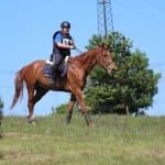 Etapa evropskega pokala v disciplini trek