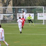 Primorje - Cormonese