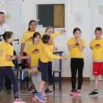 Volley Mania