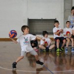 Deželni finale v igri med dvema ognjema