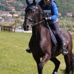 Etapa evropskega pokala v disciplini trek