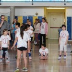 Volley Mania
