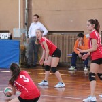 Zalet Sloga Dvigala Barich B - Zalet Breg