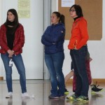 Volley Mania