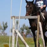Etapa evropskega pokala v disciplini trek