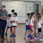 Volley Mania