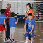 Volley Mania