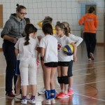 Volley Mania