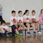 Deželni finale v igri med dvema ognjema