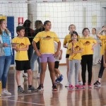 Volley Mania