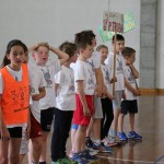 Deželni finale v igri med dvema ognjema