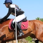 Etapa evropskega pokala v disciplini trek