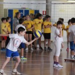 Volley Mania