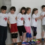 Volley Mania