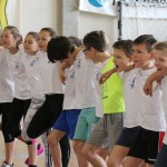 Deželni finale v igri med dvema ognjema