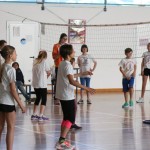 Volley Mania