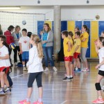 Volley Mania