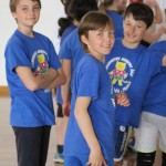 Volley Mania