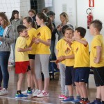 Volley Mania
