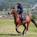 Etapa evropskega pokala v disciplini trek