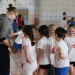 Volley Mania