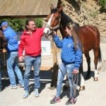 Evropski pokal TREC - tiskovna konferenca