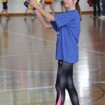 Volley Mania