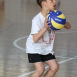 Volley Mania