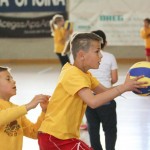Volley Mania
