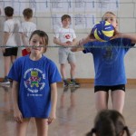 Volley Mania