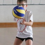 Volley Mania