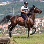Etapa evropskega pokala v disciplini trek