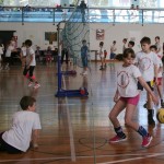 Volley Mania