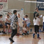 Volley Mania
