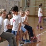 Volley Mania