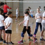 Volley Mania