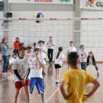 Volley Mania