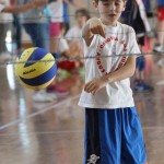 Volley Mania