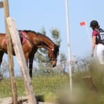 Etapa evropskega pokala v disciplini trek