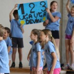 Deželni finale v igri med dvema ognjema