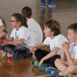 Deželni finale v igri med dvema ognjema