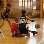 AŠZ Dom, gostovanje v Sarajevu