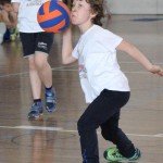 Deželni finale v igri med dvema ognjema