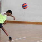 Deželni finale v igri med dvema ognjema