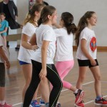 Deželni finale v igri med dvema ognjema