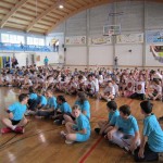 Deželni finale v igri med dvema ognjema