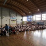 Deželni finale v igri med dvema ognjema