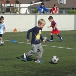 Otočec (Slovenija) - ZSŠDI seminar za odbornike